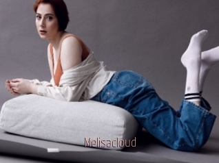Melisacloud