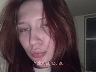 Melisagonzaled