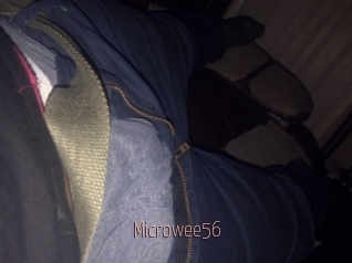 Microwee56