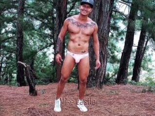 Mike_castle