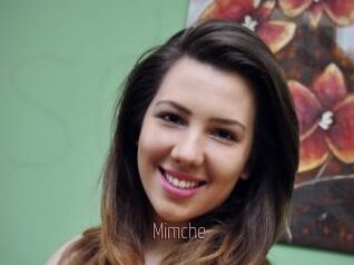 Mimche