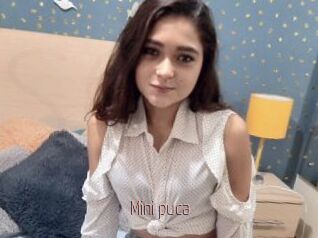 Mini_puca