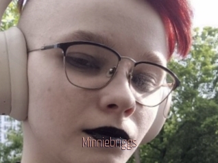 Minniebriggs