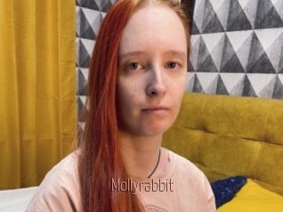 Mollyrabbit
