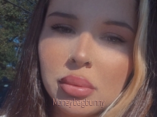 Moneybagbunny