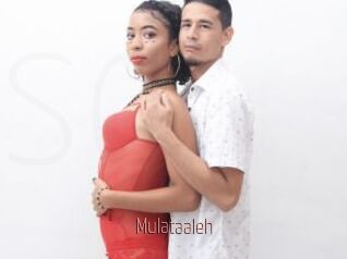 Mulataaleh