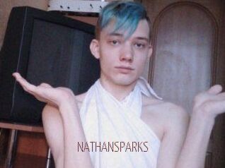 NATHAN_SPARKS