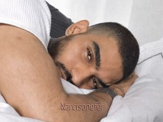 Narcisonefer
