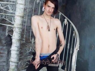 NaughtyBunnyBoy