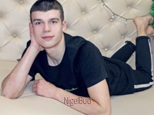 NigelBud