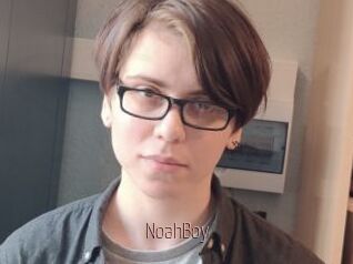 NoahBoy
