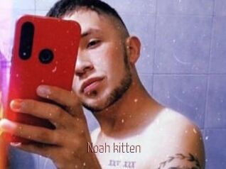 Noah_kitten