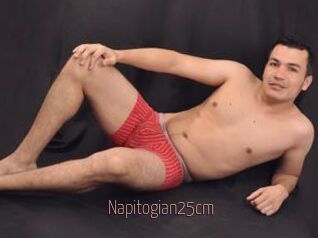 Napitogian25cm
