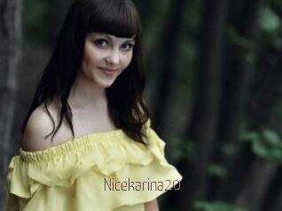 Nicekarina20