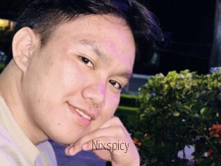Nixspicy