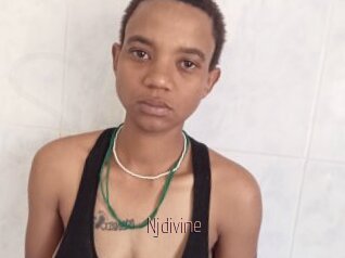 Njdivine