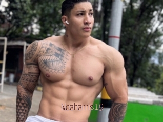 Noaharris19