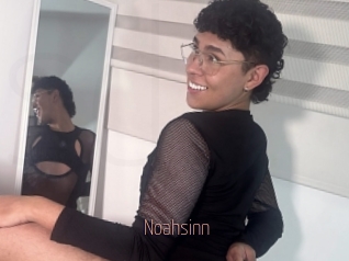 Noahsinn