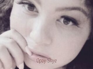 Opay_Skye