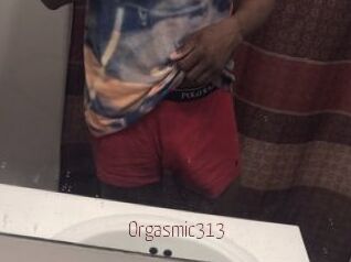 Orgasmic313