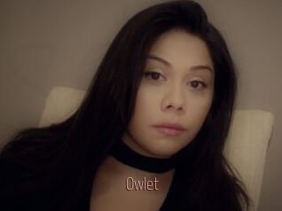 _Owlet_