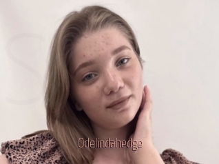Odelindahedge