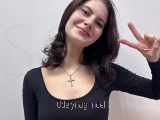 Odelynagrindel