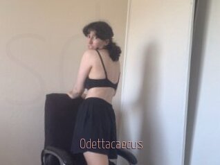 Odettacaecus