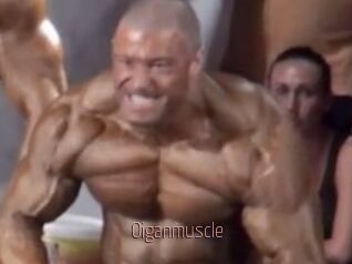 Oigan_muscle