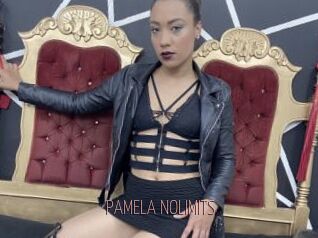 PAMELA_NOLIMITS