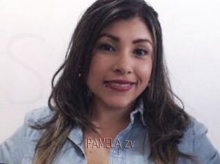 PAMELA_zv