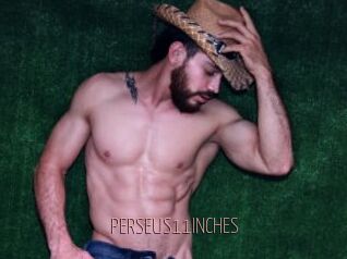 PERSEUS11INCHES