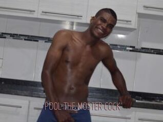 POOL_THE_MOSTER_COCK