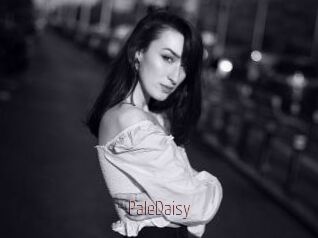 PaleDaisy