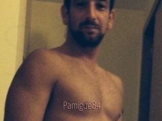 Pamigue84