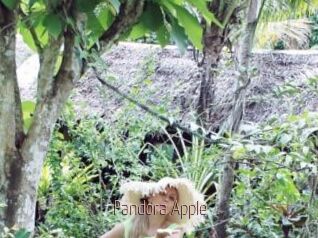 Pandora_Apple