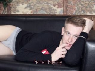 PerfectBoyToy
