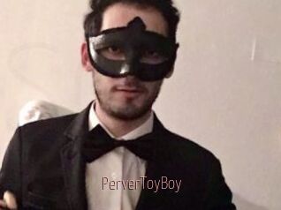 PerverToyBoy