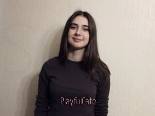 PlayfulCate