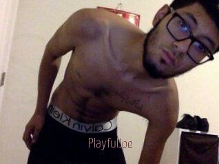 PlayfulJoe