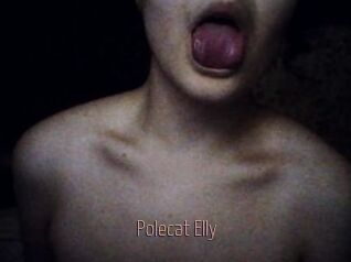 Polecat_Elly