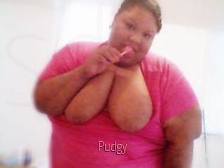 Pudgy