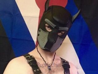 PupMischief
