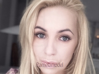 Pamelamodel