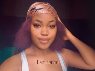 Pamelarein