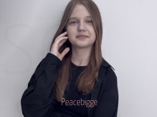 Peacebigge