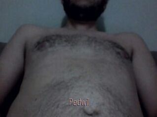 Pedwil