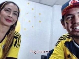 Pegasso_love