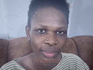 Pervated_bitch