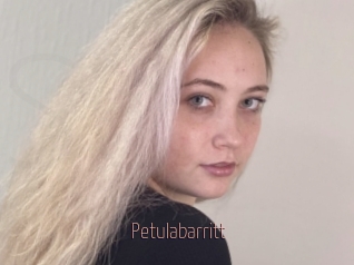 Petulabarritt